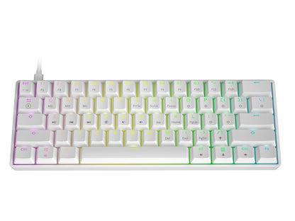 HK GAMING GK61 Mechanical Gaming Keyboard | 61 Keys RGB Backlit for Pc/Mac ( White, Gateron Optical Blue)